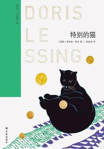 诸天新时代