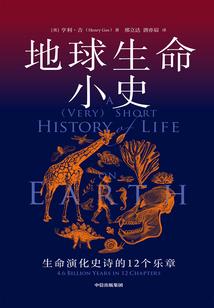 葬羽