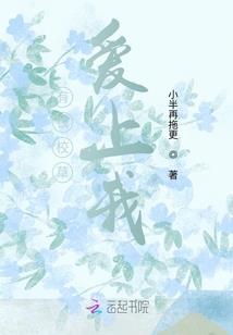幻影猫