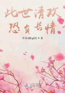 宫猫