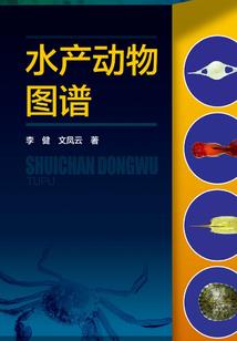 血樱三公主的恋爱情殇