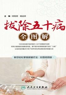 圣士龙甲