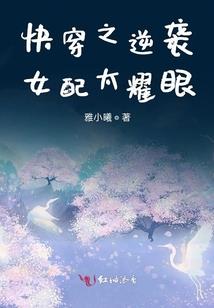 疯狂追夫之路
