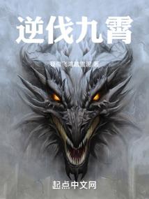 风渡天下
