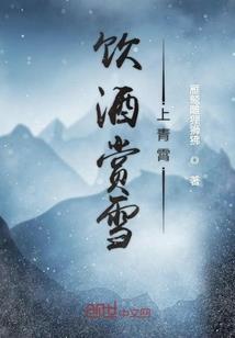 腹黑狂妃：冰山王爷盛宠妻