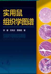 内壁文明