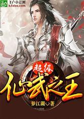 宫锁心墙