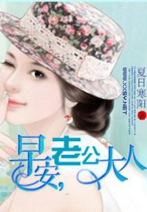 总裁的小嫂子