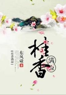 寒雨大陆之星灵传奇