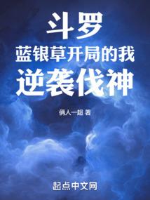 凡赛尔之夜