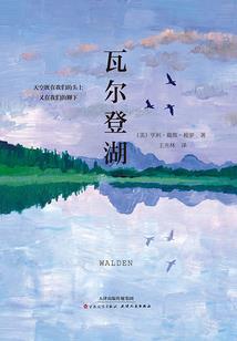 都市枭雄征战录