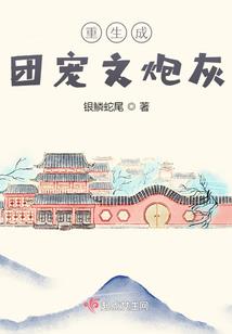 宠物小精灵之迷城