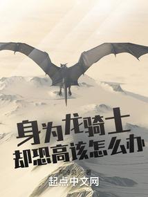 追逐爱情的时光