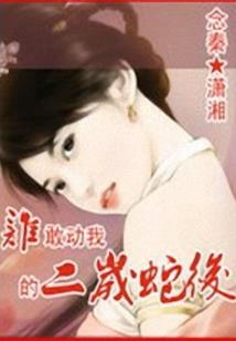 乱谈佳人