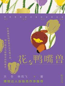 未来预知梦
