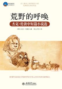 总裁大人忙着追夫呐