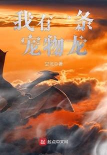 来自异界的魂