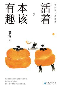 穿越祈王妃