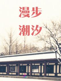最强大道分身
