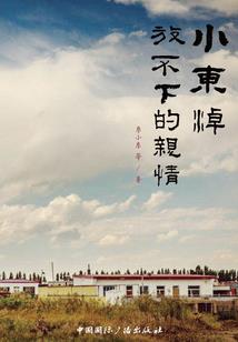 血羽狂天