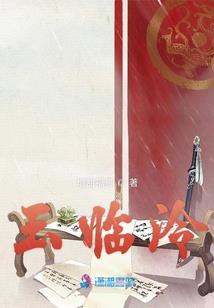 斗破之我叫纳兰叶