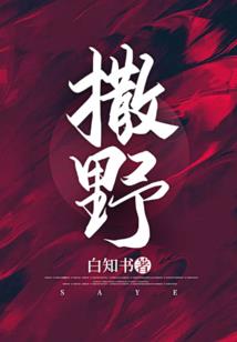 穿越之冷艳宠妃会武功