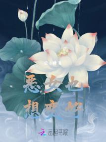 惊鸿一瞥后