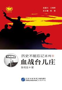外地媳妇七年夺子之战