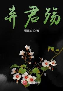 菜鸟宝贝