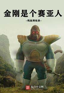 二次元旅者