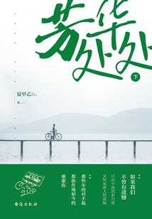 寂寥巅峰路