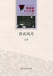 天地随魂御灵使