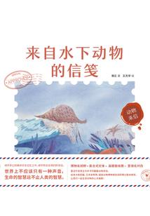 神之化