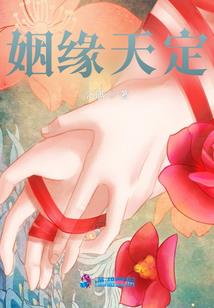 王妃是只猫