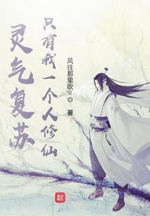 海贼王之天照大帝