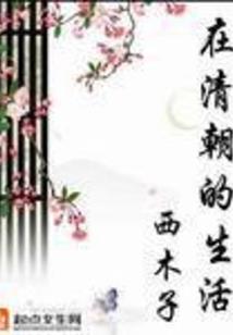 至强神皇系统