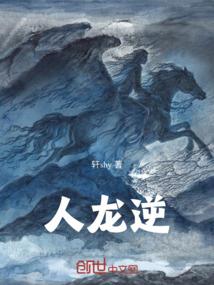 录尘卷