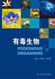 轩辕百战歌