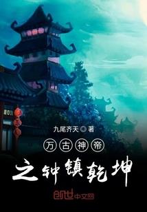 崩坏世界的传奇巫师