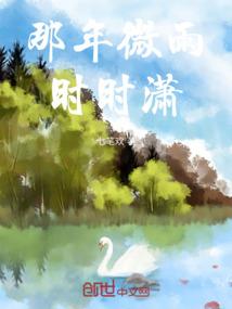 倾风吹赢天下