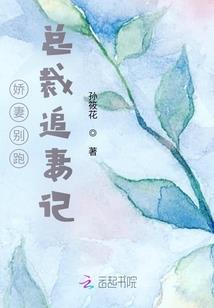 穿越后的套路系统