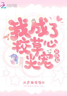 海贼之幻身系统