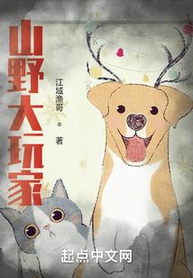 仙术天书目录