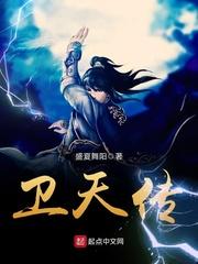 海贼王之最强供奉
