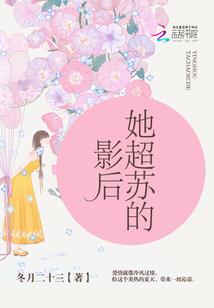 海贼之声望系统