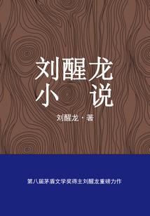 九劫异世傲仙路