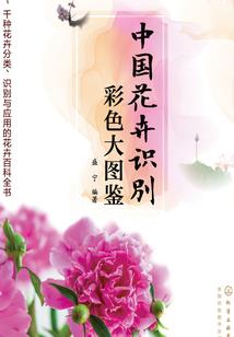我们不调皮