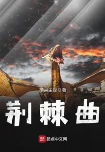 雪之回忆