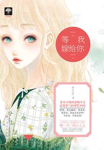 荣耀王者之天才少年