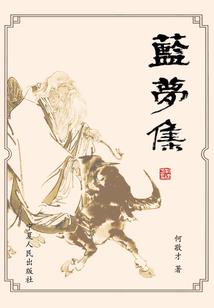 海贼同人之旁观者
